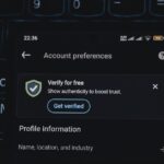 age verification bypass