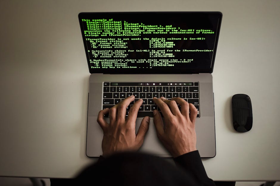 bug bounty program