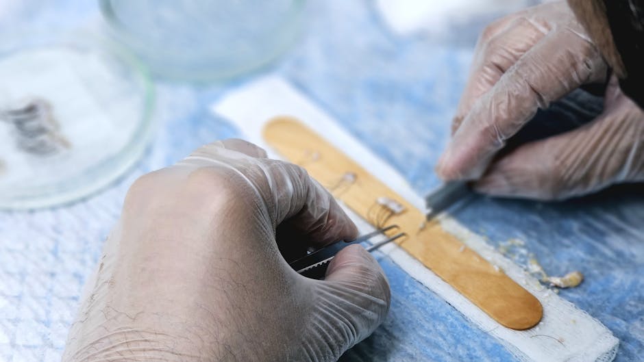universal kidney transplant