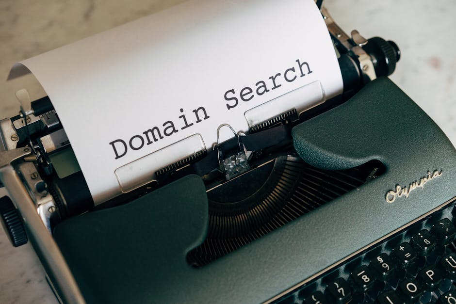domain name system