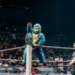 mascot fighting