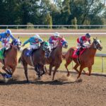 jockey performance analysis