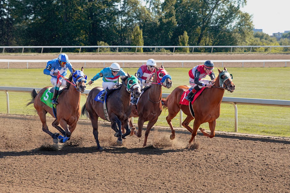 jockey performance analysis
