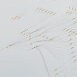 evolutionary algorithm visualization