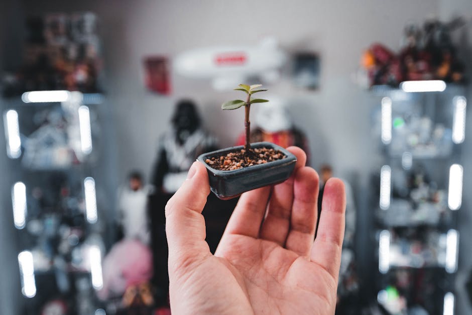 Bonsai Image 4B