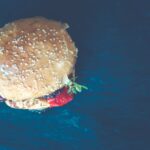 burger_analytics