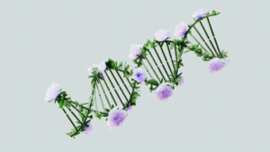 CRISPR gene editing