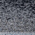 flocking birds pattern