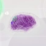 AI memory architecture
