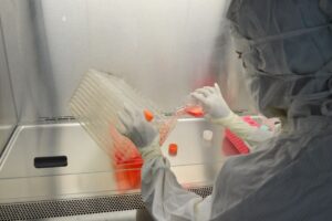 CAR-T cell therapy