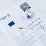 EU Digital Services Act