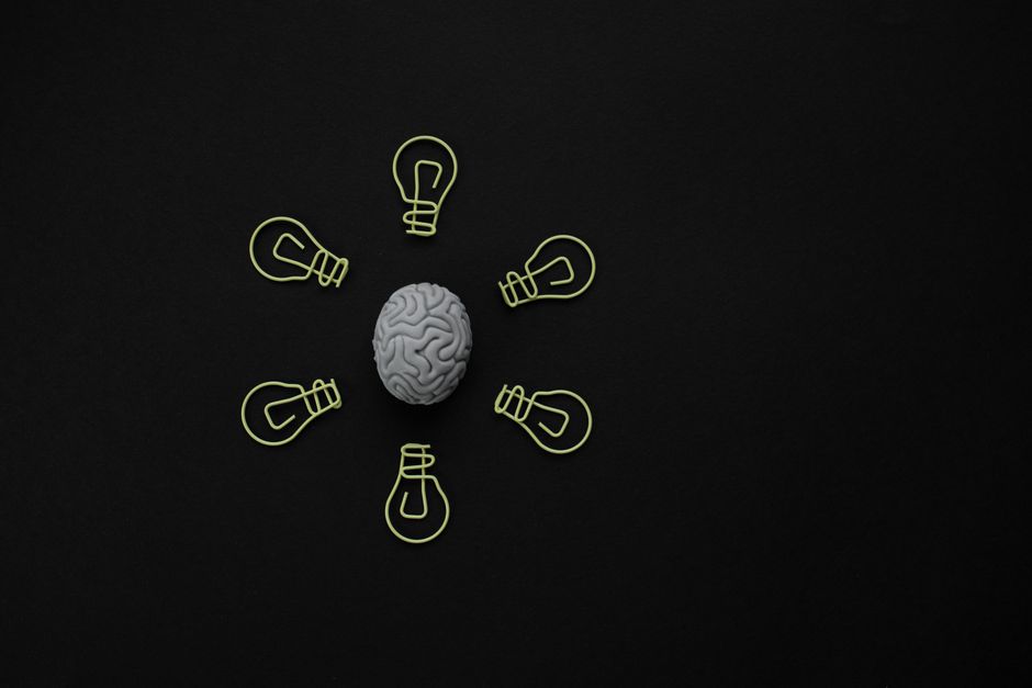 brain neuroplasticity multitasking