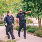 domain seizure enforcement