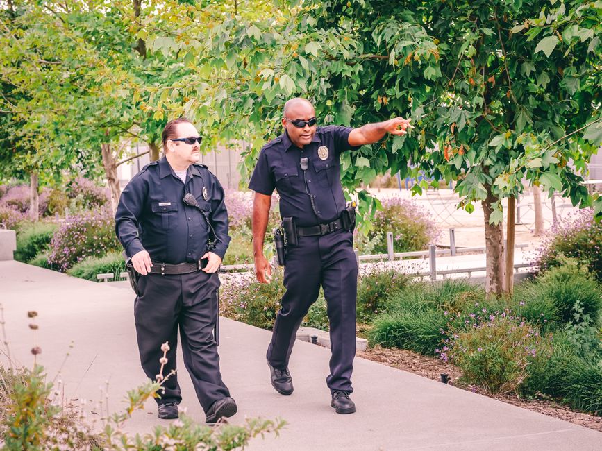 domain seizure enforcement