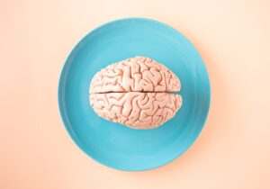 brain prediction model
