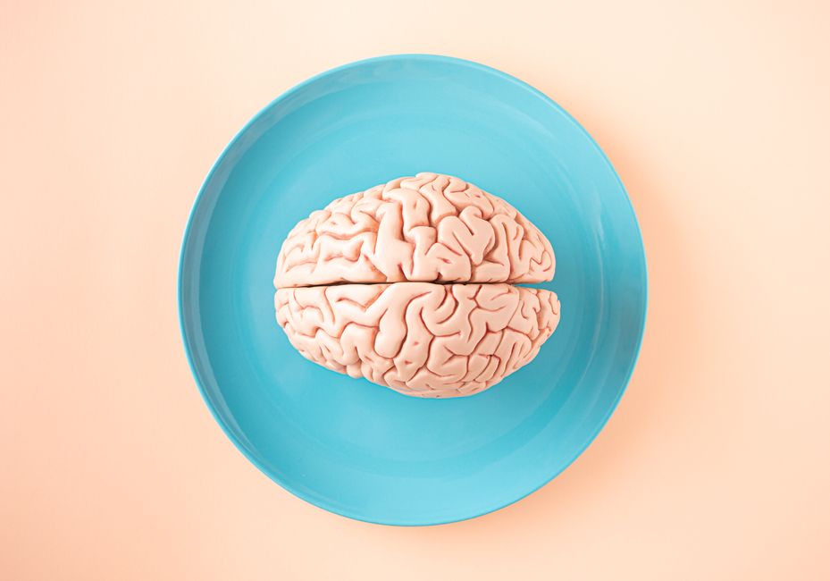 brain prediction model