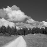 darktable interface