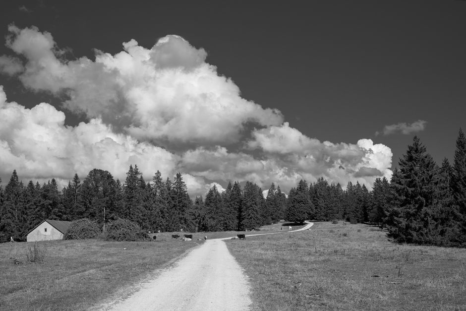 darktable interface