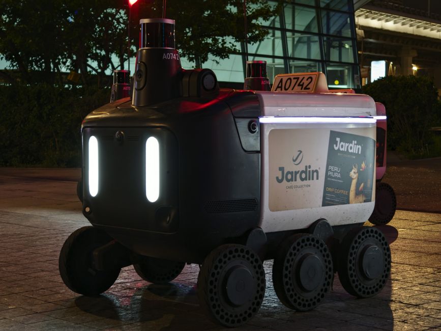 autonomous drone delivery