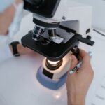 xenotransplantation breakthrough
