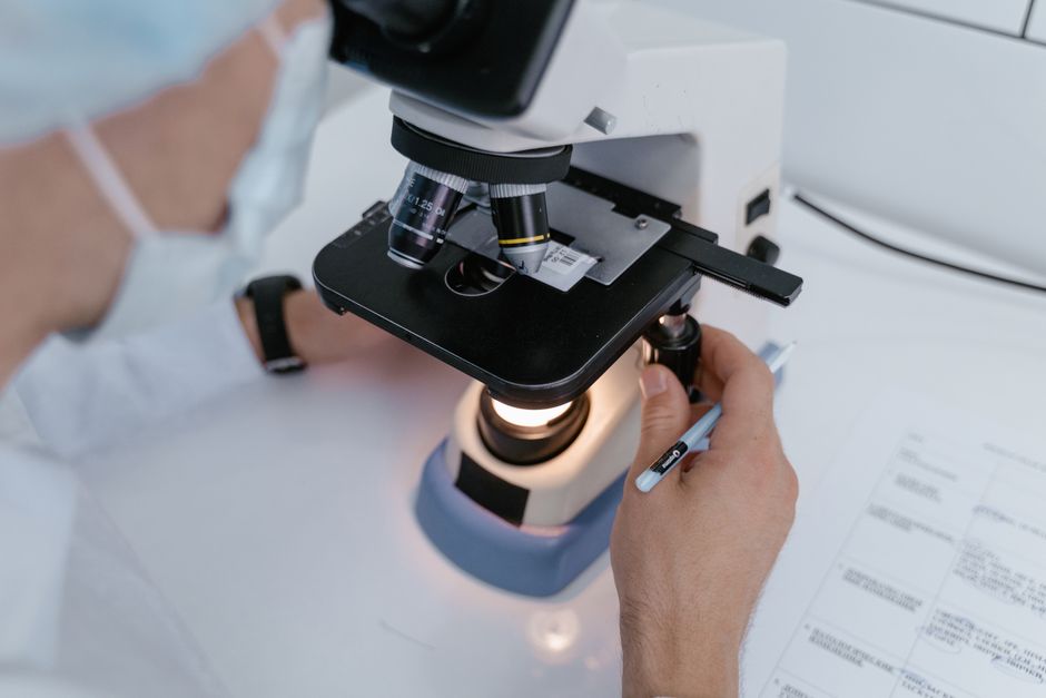 xenotransplantation breakthrough