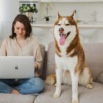 animal communication AI