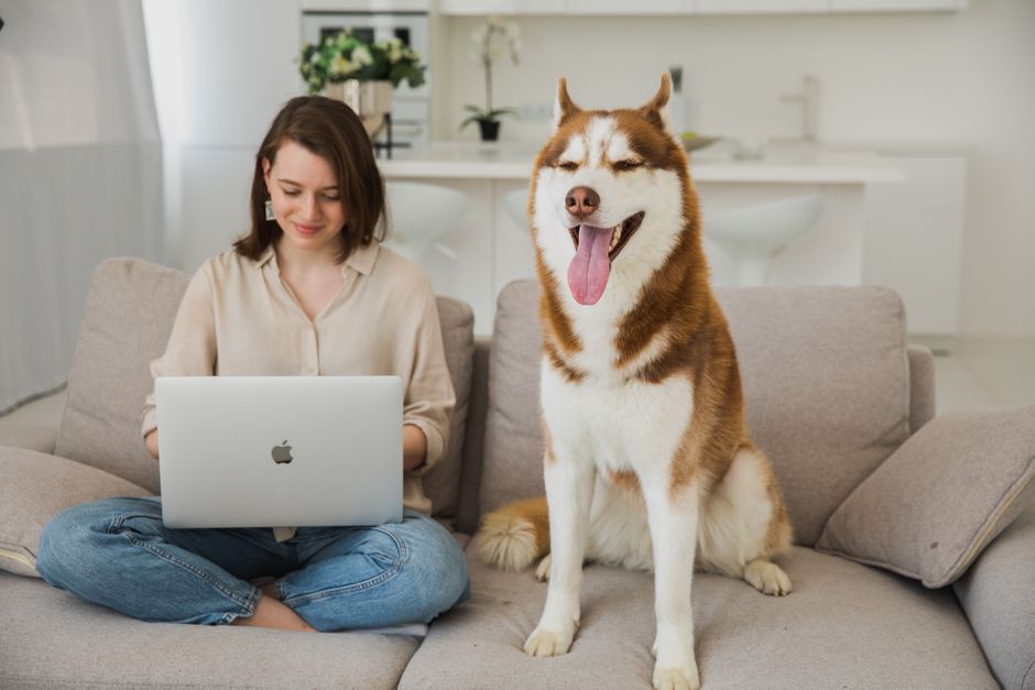 animal communication AI