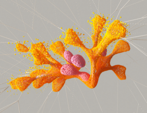 fruit fly brain neural network