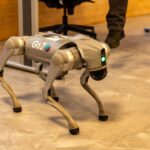 Digit 5 robot