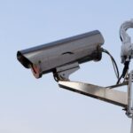 bird detection system