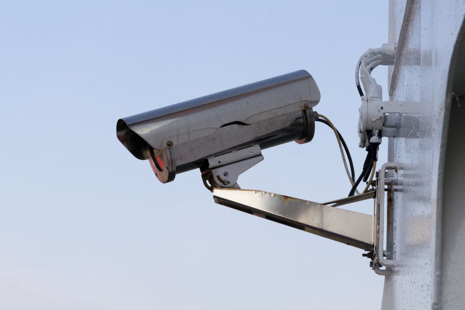 bird detection system