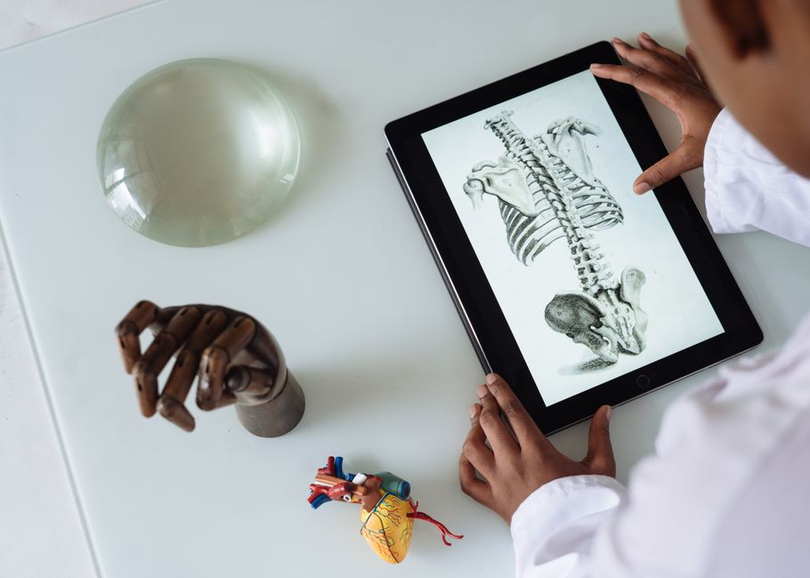 3D human anatomy visualization