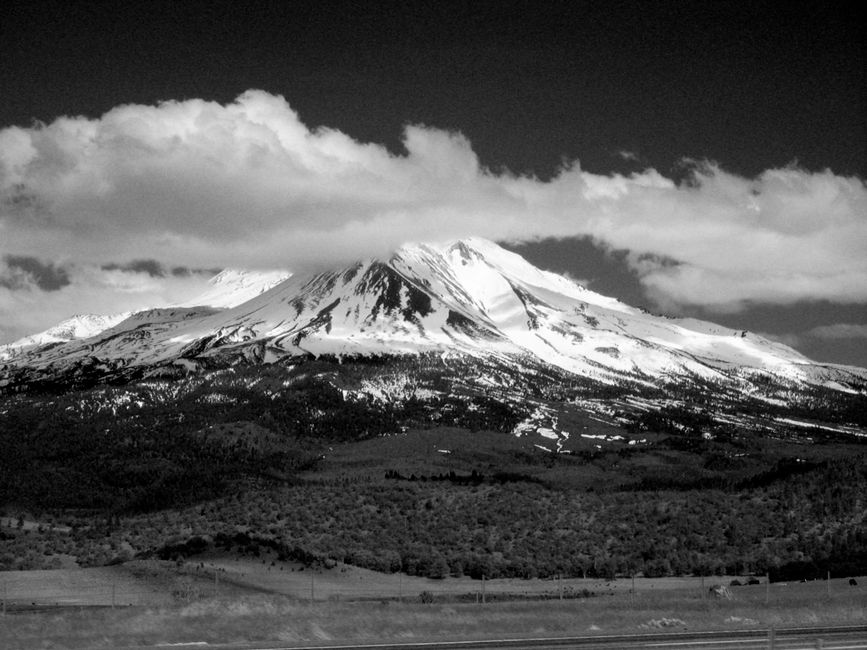 Mount Shasta rescue