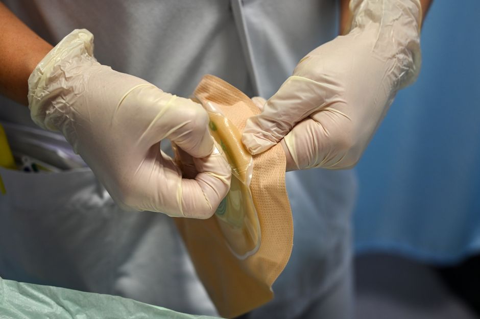 intestinal fungi radiation protection