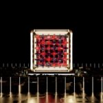 quantum computer processor